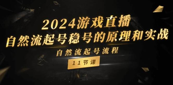 2024游戏直播-自然流起号稳号的原理和实战，自然流起号流程（11节）-简创网